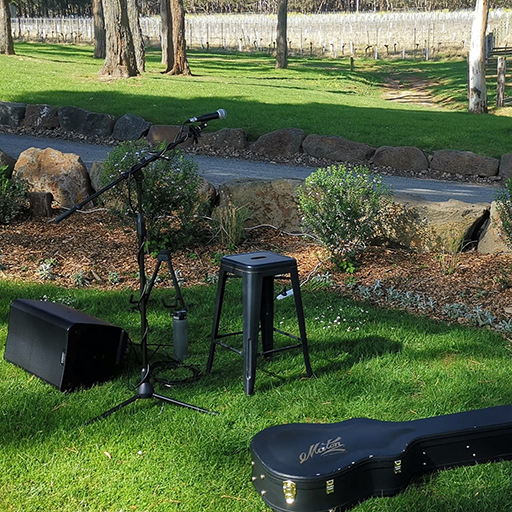 Acoustic Intimate Performance